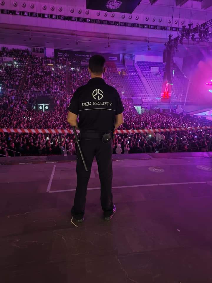 seguridad en eventos